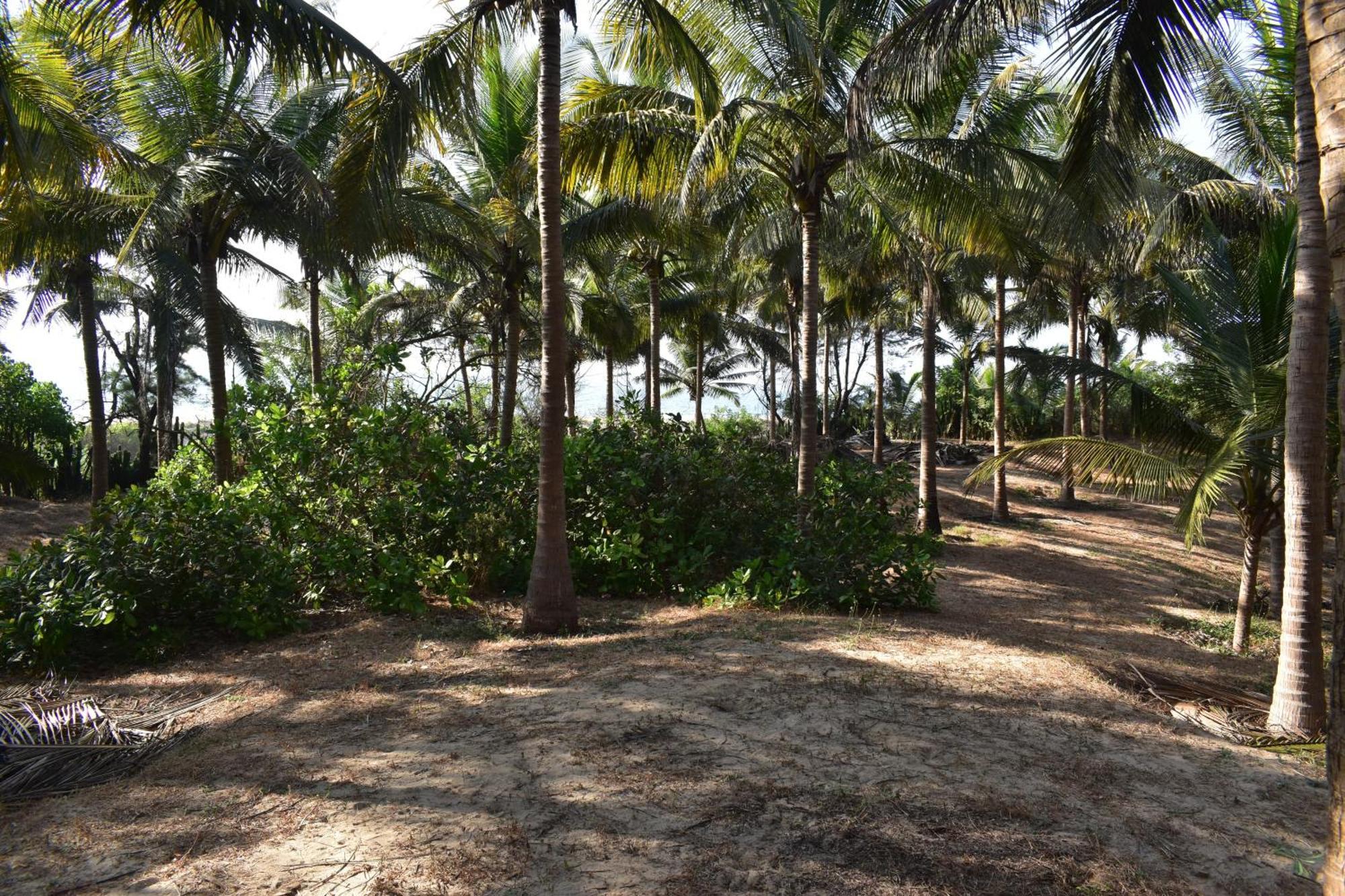 Sneh Beach Homestay - Wayangani Vengurla Eksteriør bilde